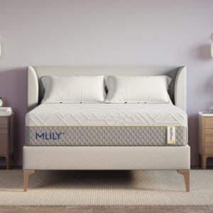 WellFlex-1.0_Bedroom-View_High-Resolution_1