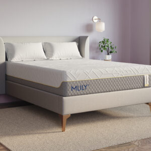 WellFlex-1.0_Bedroom-View_High-Resolution_2