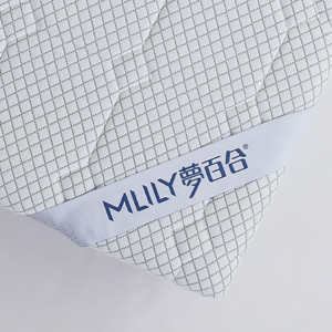 無邊際 x MLILY 朗怡獨立筒床墊 雙人加大(6x6.2)